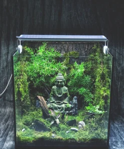 Zen Terrarium