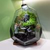 Zen Terrarium Thiền Tuyền Cảnh - Bể Đa Giác Trứng