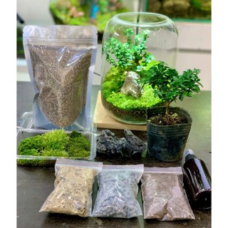nguyên liệu làm terrarium sa mạc