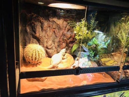 terarium sa mac